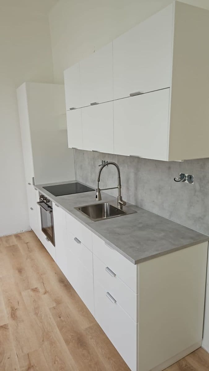 Pronájem bytu 1+1 59 m², Americká, Praha, Praha Pronájem bytu 1+1 59 m², Americká, Praha, Praha
