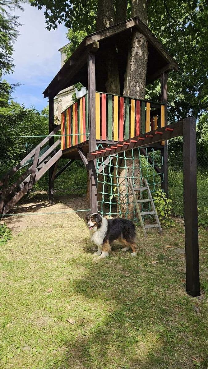 Pronájem chaty, chalupy, Břidličná, Moravskoslezský kraj Pronájem chaty, chalupy, Břidličná, Moravskoslezský kraj