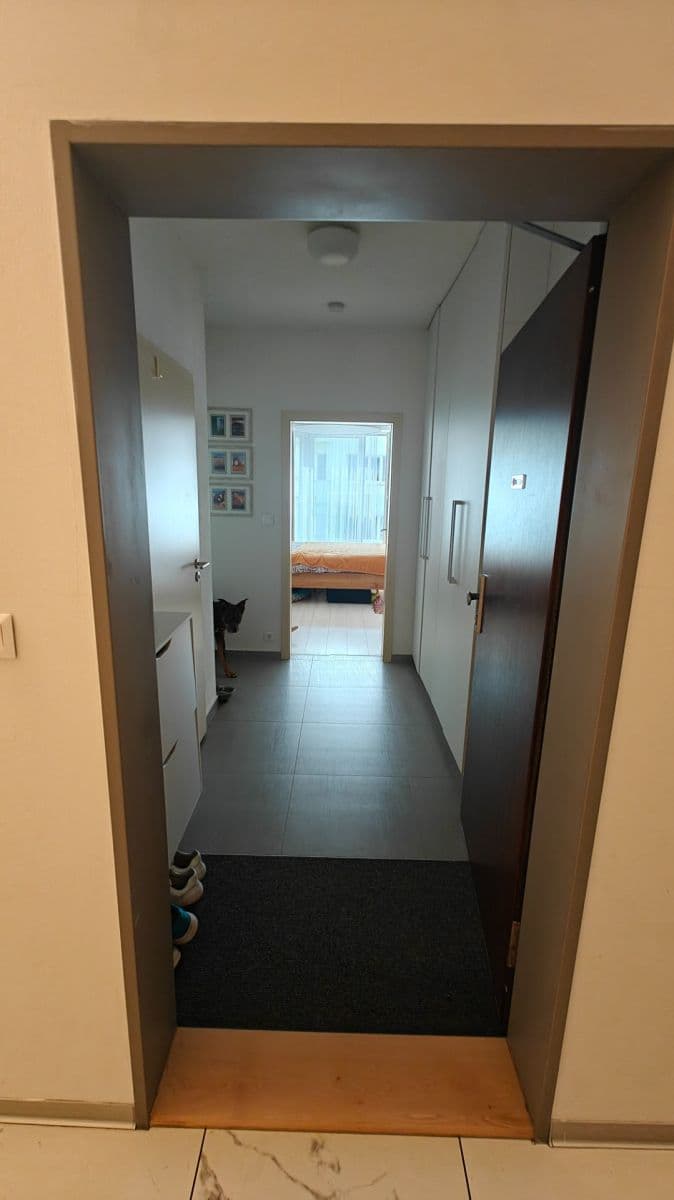 Pronájem bytu 2+1 46 m², Milady Horákové, Brno, Jihomoravský kraj Pronájem bytu 2+1 46 m², Milady Horákové, Brno, Jihomoravský kraj