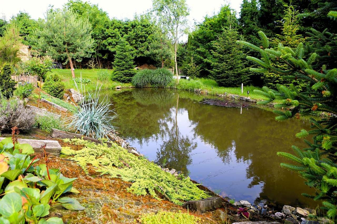 Pronájem chaty, chalupy, Jindřichův Hradec, Jihočeský kraj Pronájem chaty, chalupy, Jindřichův Hradec, Jihočeský kraj