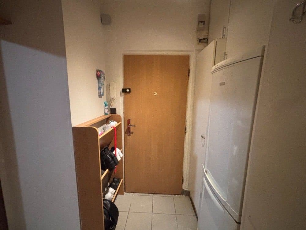 Pronájem bytu 1+kk 25 m², U Jezerky, Praha, Praha Pronájem bytu 1+kk 25 m², U Jezerky, Praha, Praha
