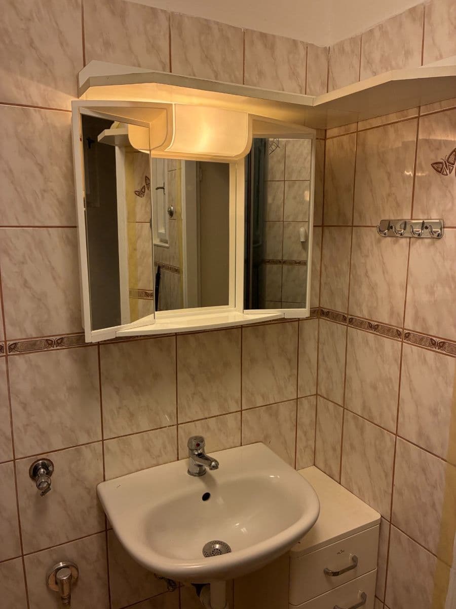 Pronájem bytu 1+kk 25 m², U Jezerky, Praha, Praha Pronájem bytu 1+kk 25 m², U Jezerky, Praha, Praha
