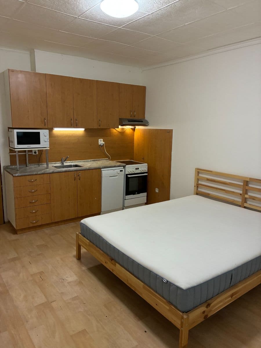 Pronájem bytu 1+kk 25 m², U Jezerky, Praha, Praha Pronájem bytu 1+kk 25 m², U Jezerky, Praha, Praha