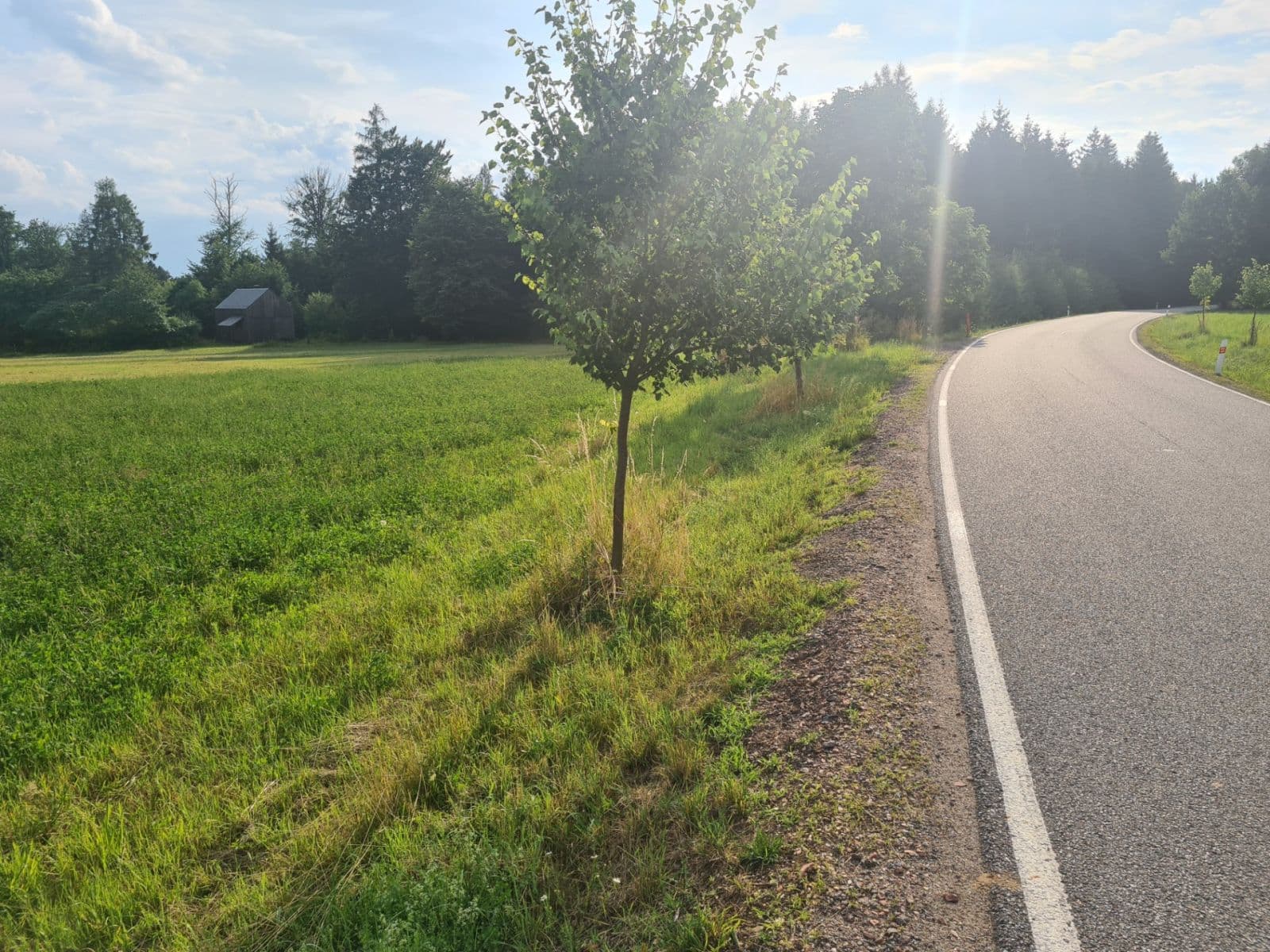 Prodej pozemku 1.488 m², Lično, Královéhradecký kraj Prodej pozemku 1.488 m², Lično, Královéhradecký kraj