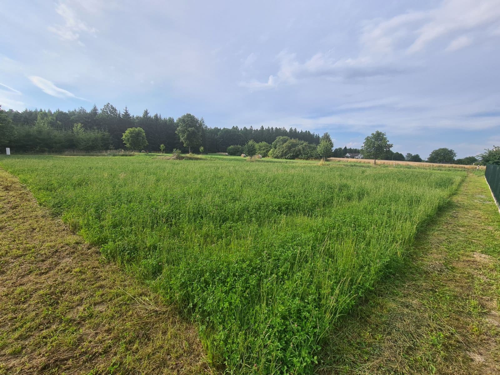 Prodej pozemku 1.488 m², Lično, Královéhradecký kraj Prodej pozemku 1.488 m², Lično, Královéhradecký kraj