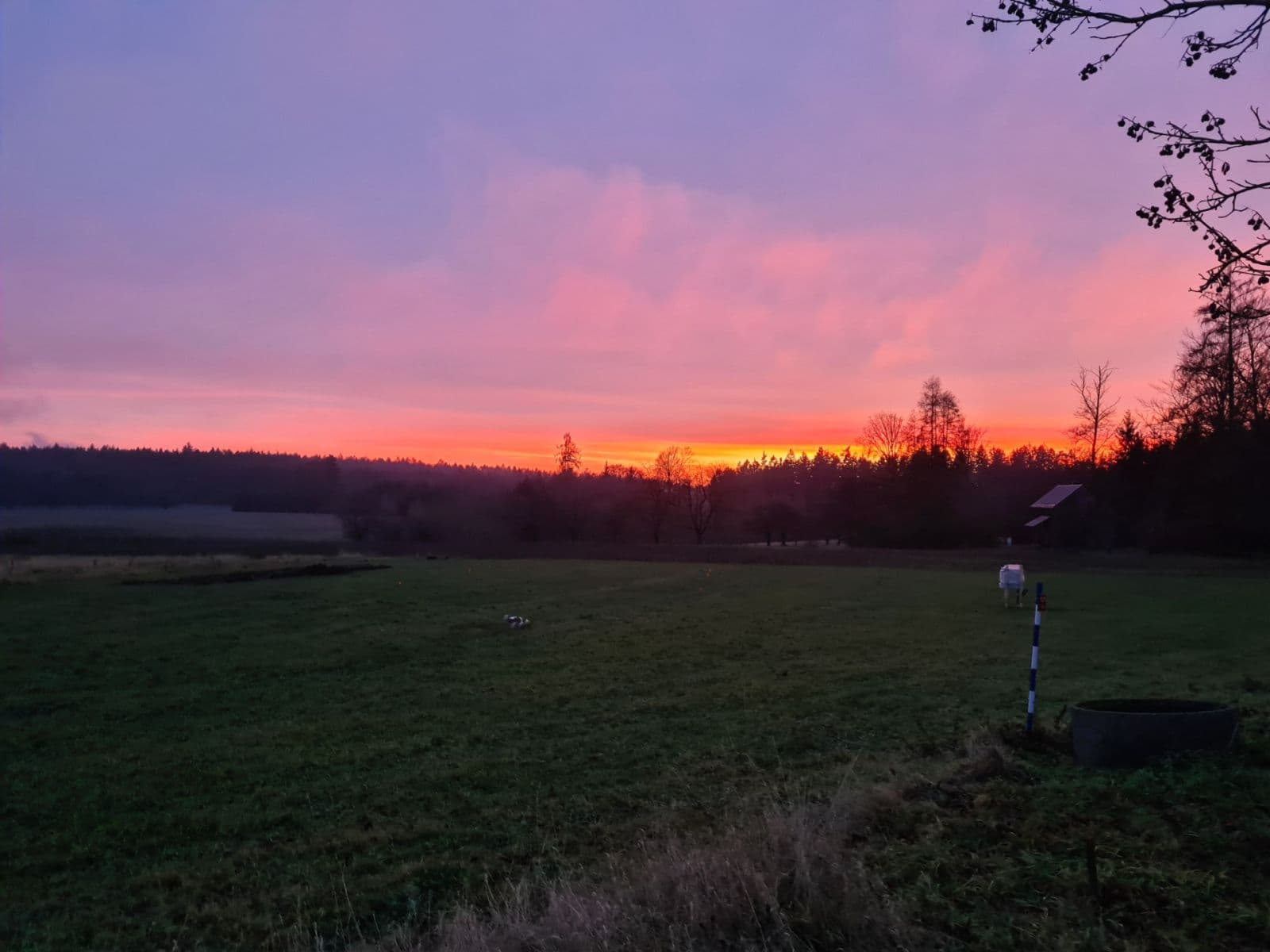 Prodej pozemku 1.488 m², Lično, Královéhradecký kraj Prodej pozemku 1.488 m², Lično, Královéhradecký kraj