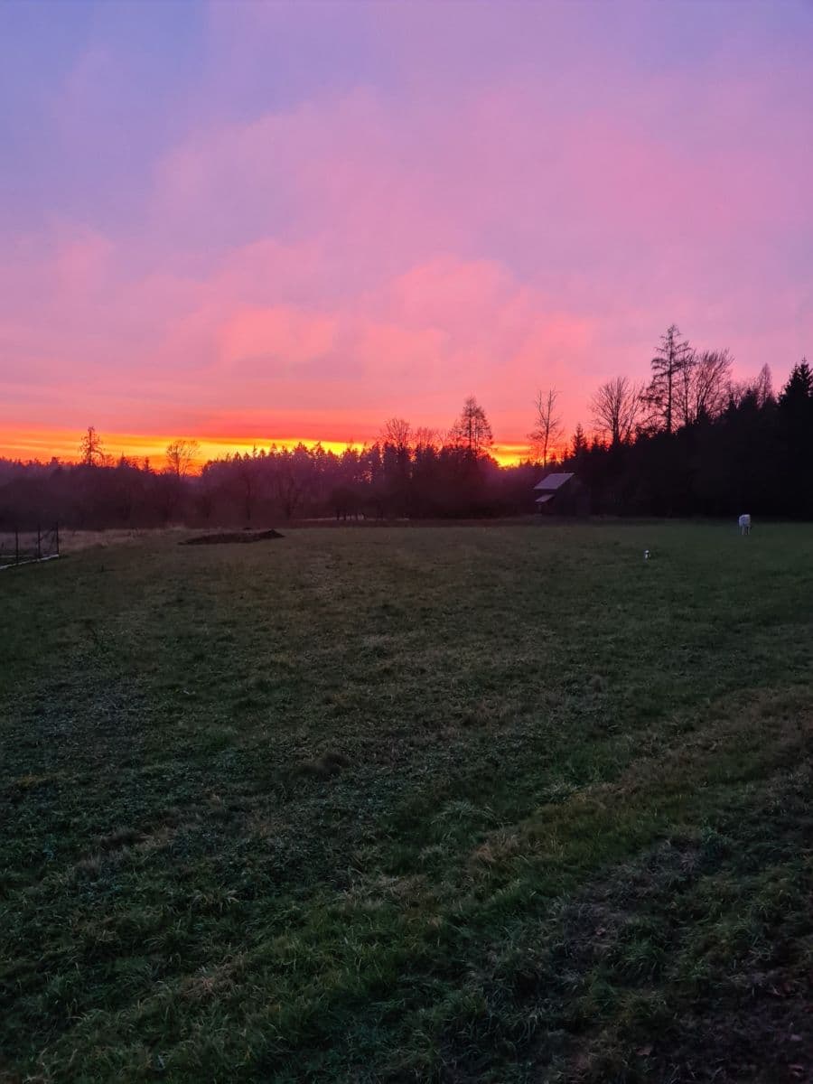 Prodej pozemku 1.488 m², Lično, Královéhradecký kraj Prodej pozemku 1.488 m², Lično, Královéhradecký kraj