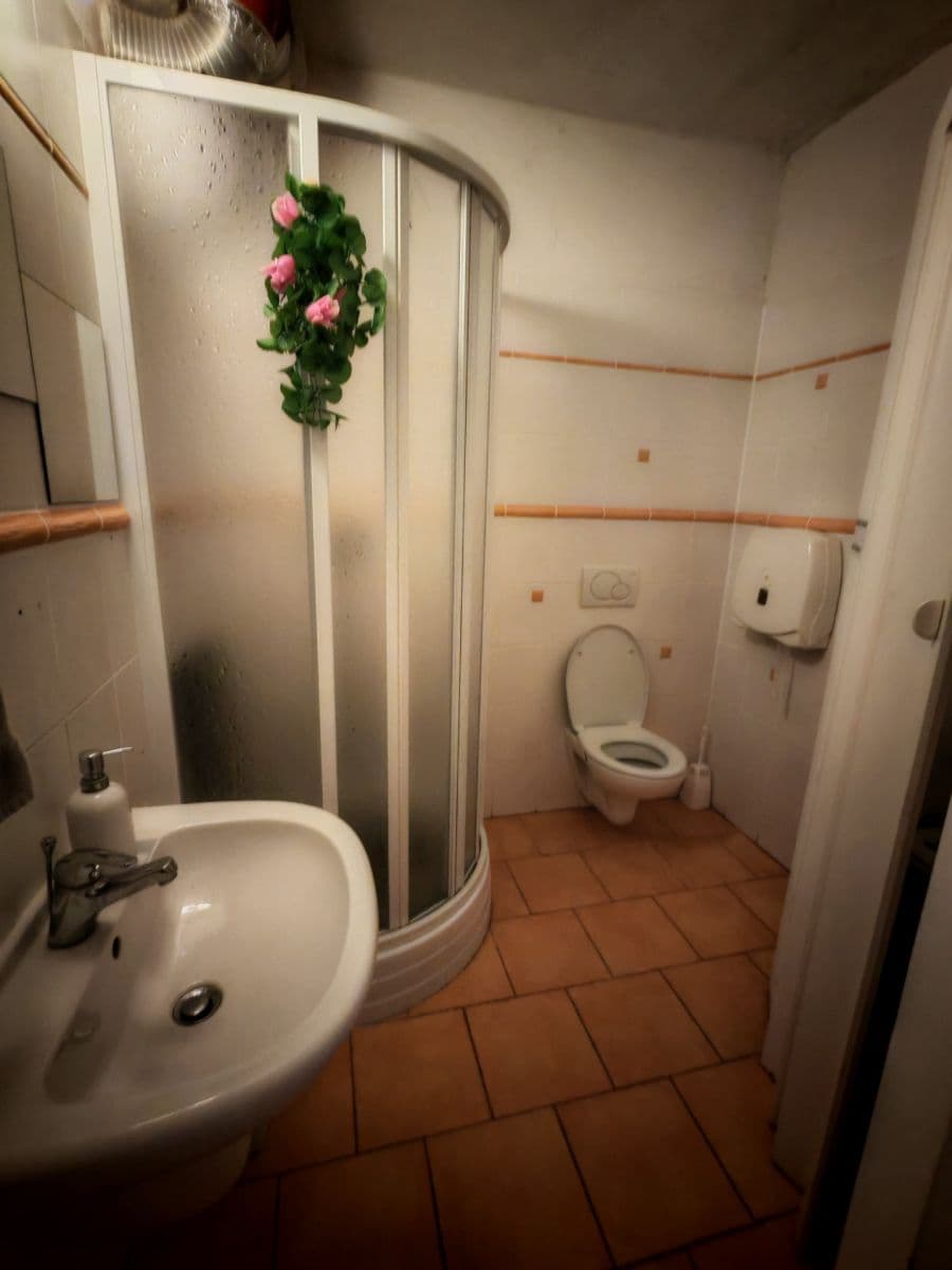 Prodej domu 189 m², pozemek 293 m², Musilova, Jihlava, Kraj Vysočina Prodej domu 189 m², pozemek 293 m², Musilova, Jihlava, Kraj Vysočina