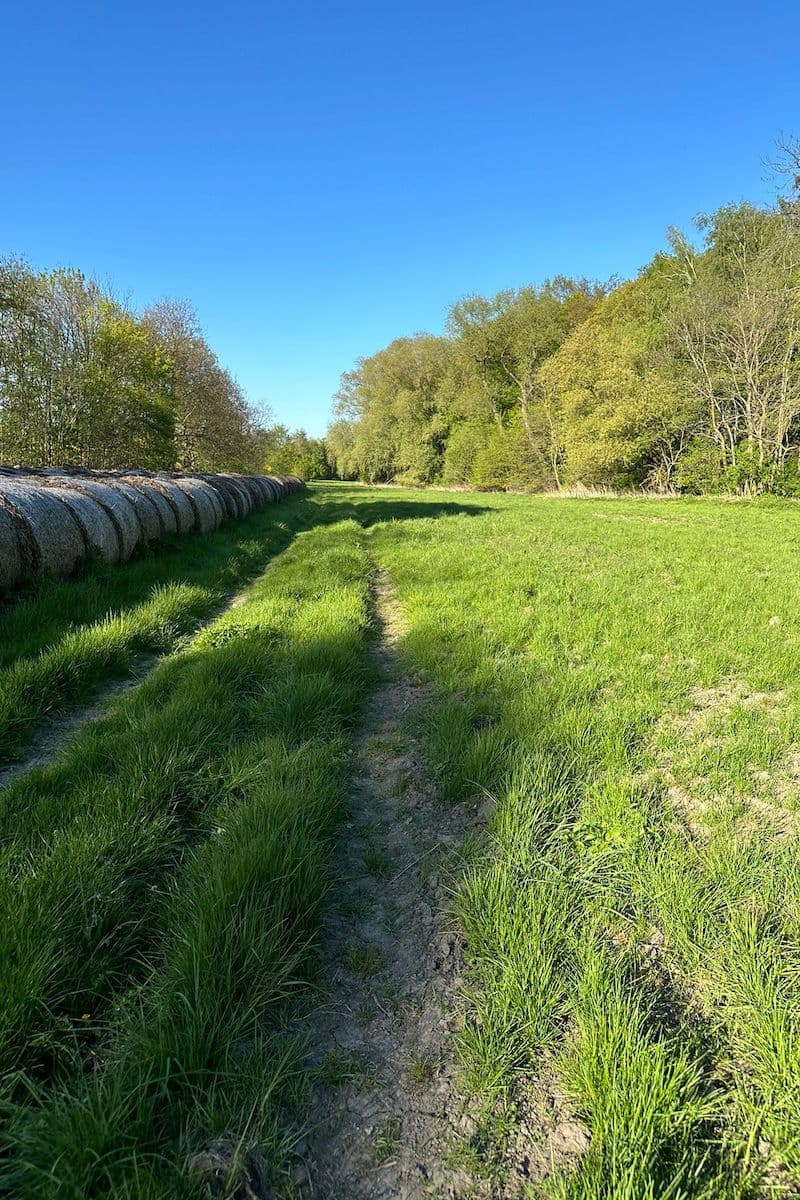 Prodej pozemku 2.145 m², Dolany, Dolany, Středočeský kraj Prodej pozemku 2.145 m², Dolany, Dolany, Středočeský kraj