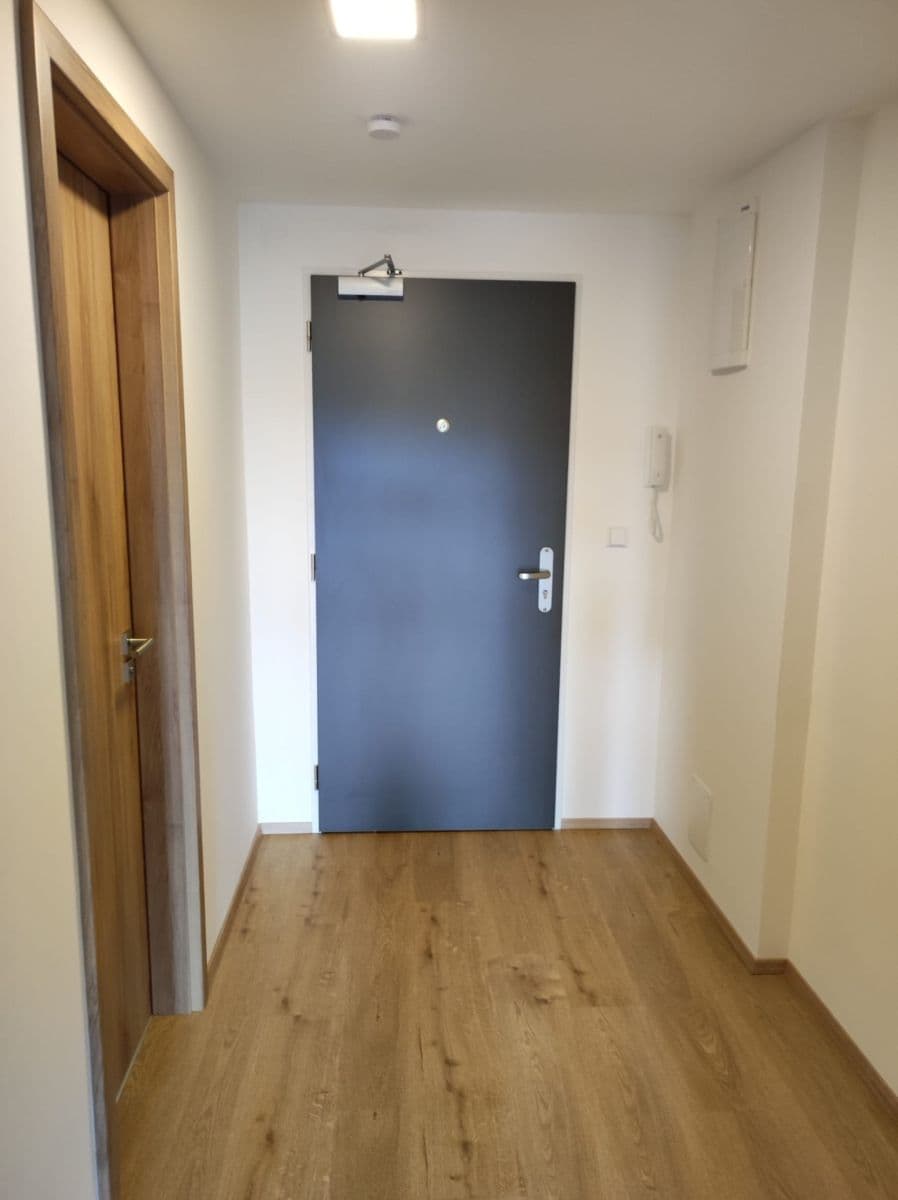 Pronájem bytu 1+kk 35 m², třída Generála Píky, Brno, Jihomoravský kraj Pronájem bytu 1+kk 35 m², třída Generála Píky, Brno, Jihomoravský kraj