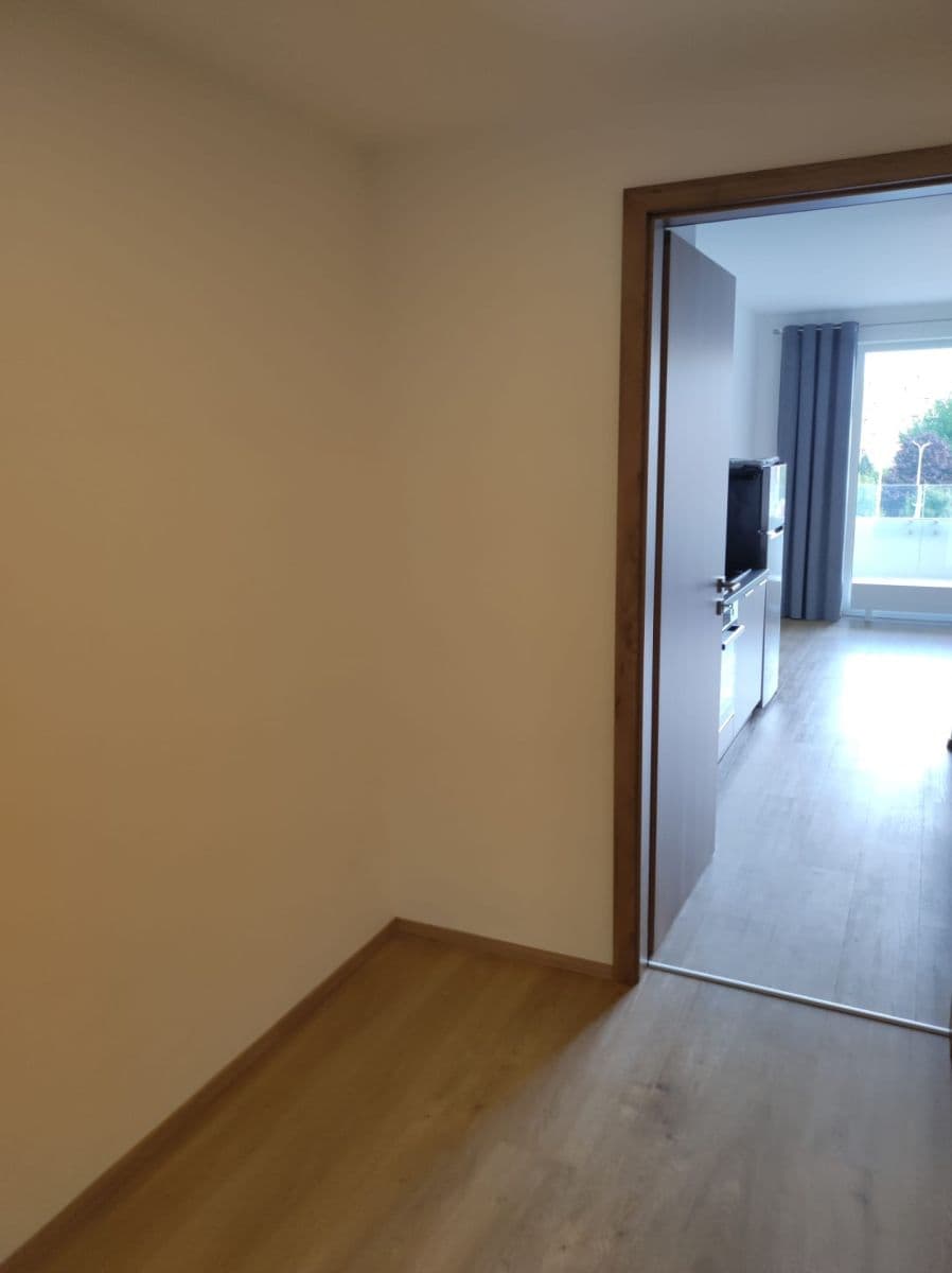 Pronájem bytu 1+kk 35 m², třída Generála Píky, Brno, Jihomoravský kraj Pronájem bytu 1+kk 35 m², třída Generála Píky, Brno, Jihomoravský kraj