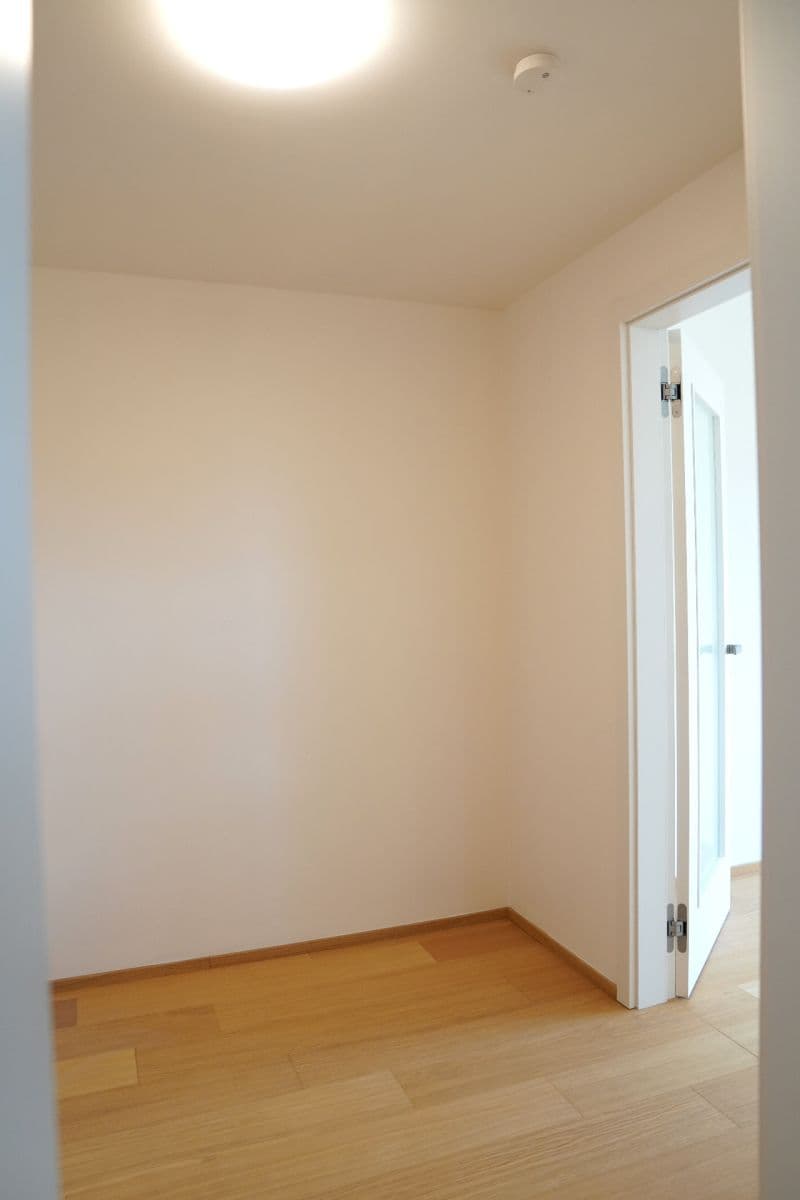 Pronájem bytu 1+kk 43 m², V Třešňovce, Praha, Praha Pronájem bytu 1+kk 43 m², V Třešňovce, Praha, Praha