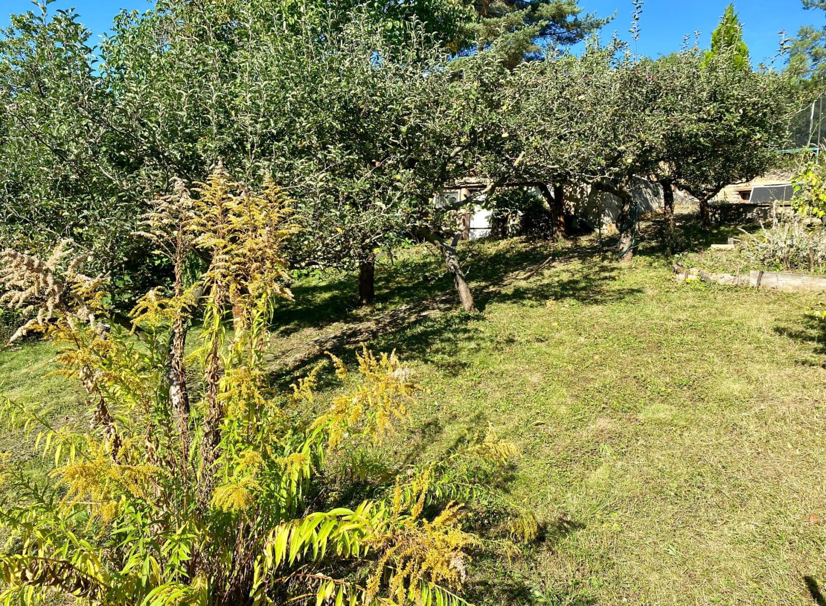 Prodej chaty, chalupy 16 m², pozemek 492 m², Devonská, Praha, Praha Prodej chaty, chalupy 16 m², pozemek 492 m², Devonská, Praha, Praha