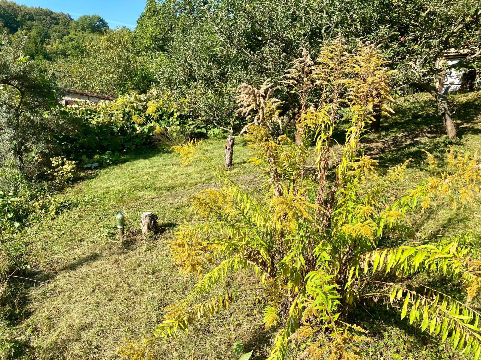 Prodej chaty, chalupy 16 m², pozemek 492 m², Devonská, Praha, Praha Prodej chaty, chalupy 16 m², pozemek 492 m², Devonská, Praha, Praha