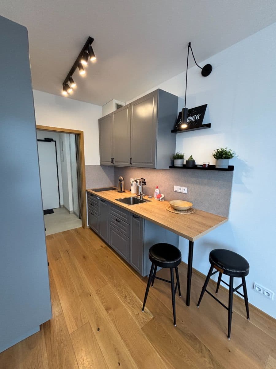 Pronájem bytu 1+kk 33 m², Vladimíra Kobranova, Praha, Praha Pronájem bytu 1+kk 33 m², Vladimíra Kobranova, Praha, Praha