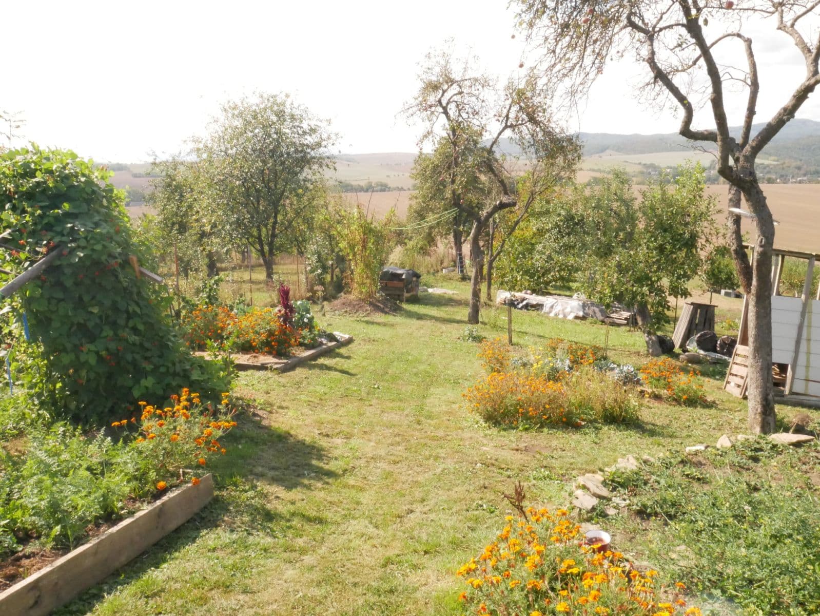 Prodej domu 124 m², pozemek 1.590 m², Veľký Slivník, Prešovský kraj Prodej domu 124 m², pozemek 1.590 m², Veľký Slivník, Prešovský kraj