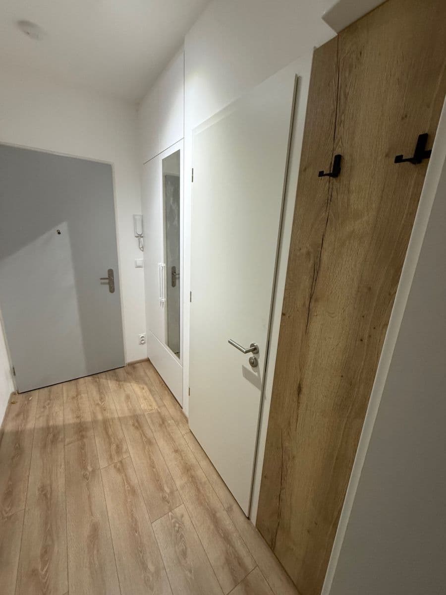 Pronájem bytu 1+kk 28 m², Spolková, Brno, Jihomoravský kraj Pronájem bytu 1+kk 28 m², Spolková, Brno, Jihomoravský kraj