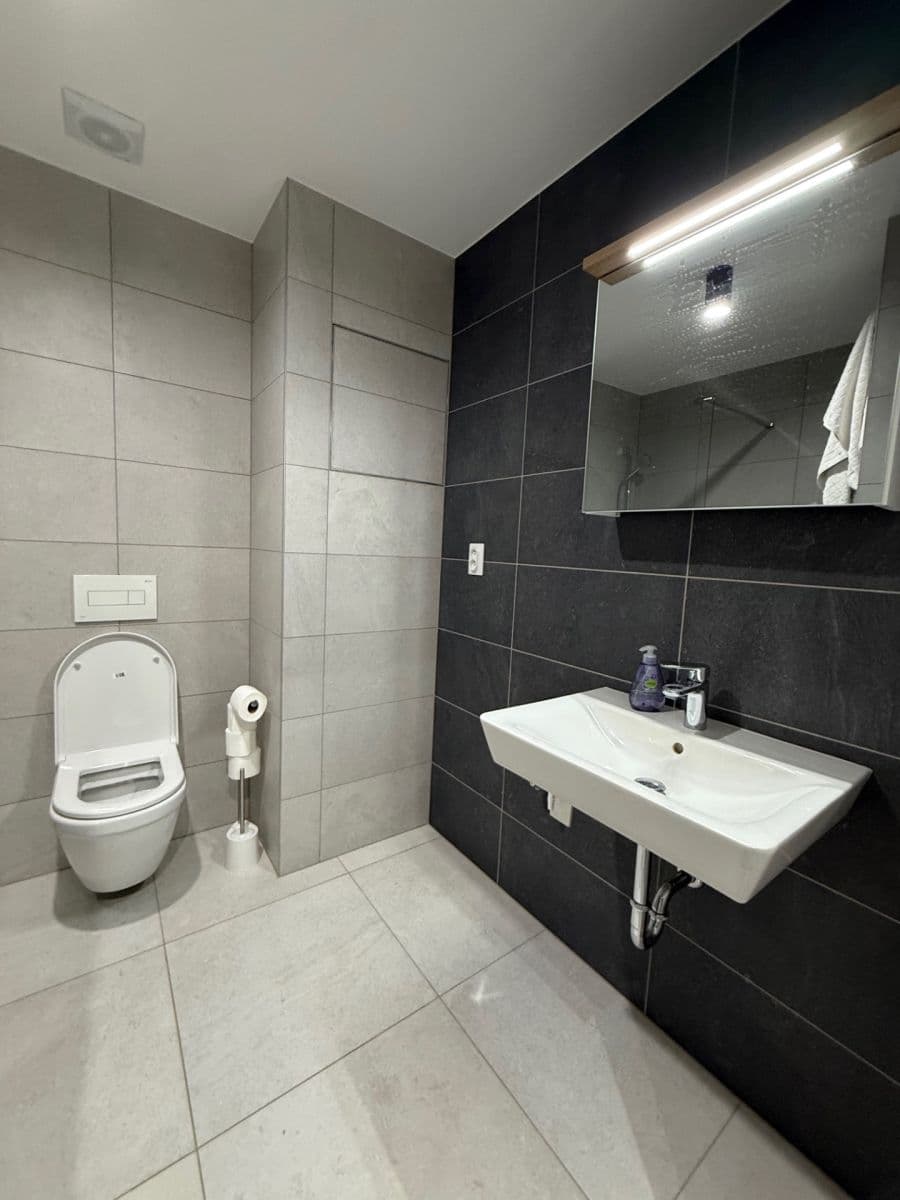 Pronájem bytu 1+kk 28 m², Spolková, Brno, Jihomoravský kraj Pronájem bytu 1+kk 28 m², Spolková, Brno, Jihomoravský kraj