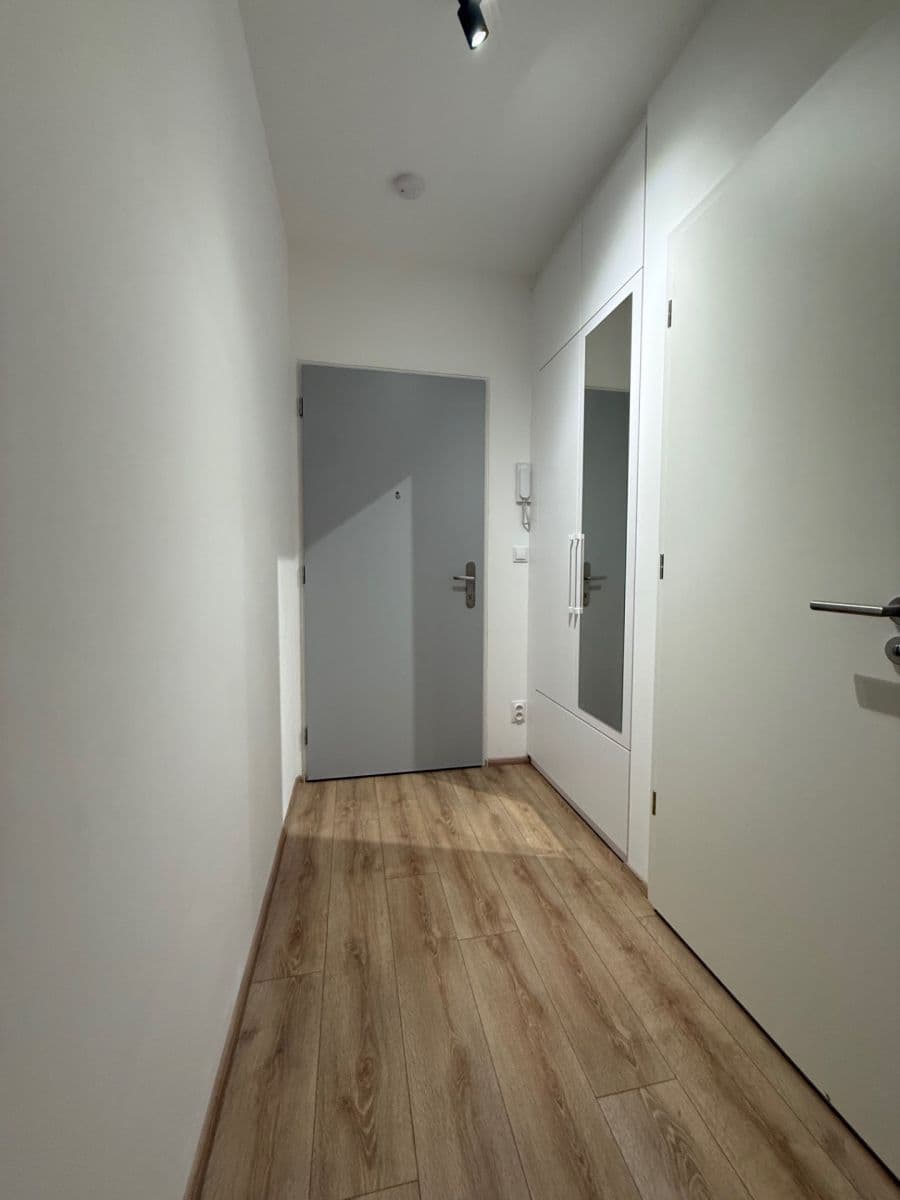 Pronájem bytu 1+kk 28 m², Spolková, Brno, Jihomoravský kraj Pronájem bytu 1+kk 28 m², Spolková, Brno, Jihomoravský kraj