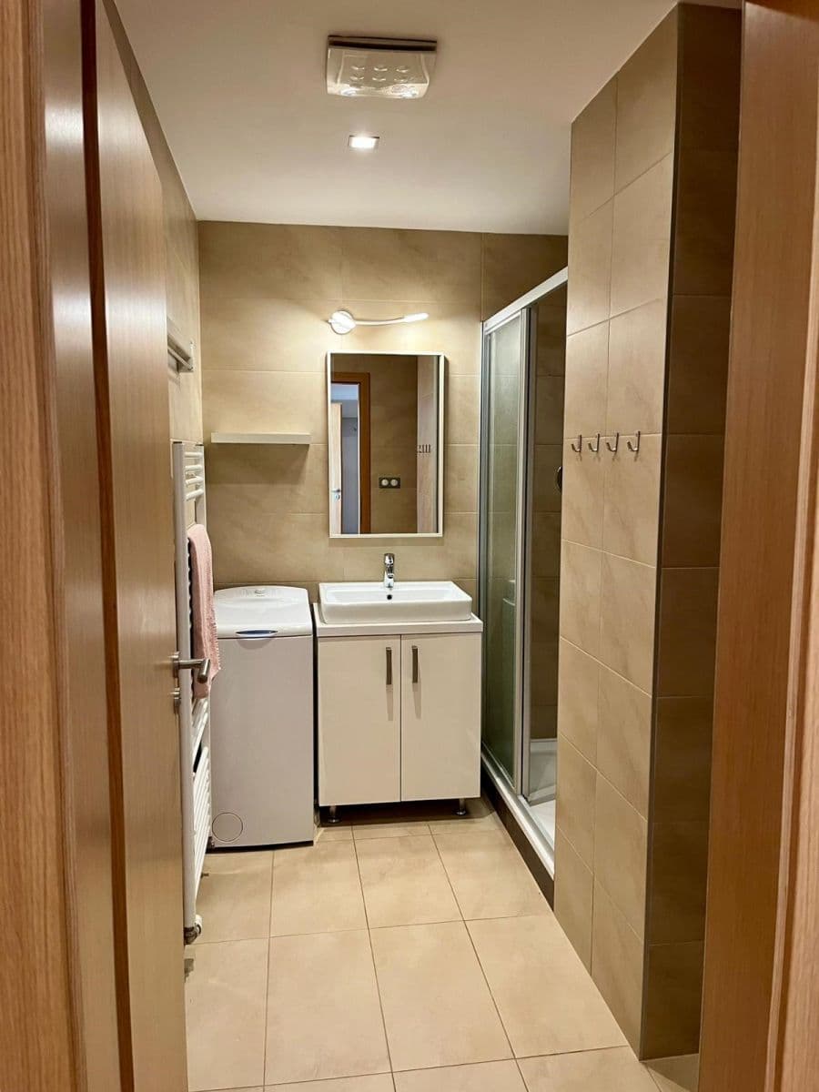 Pronájem bytu 1+kk 37 m², Palackého třída, Brno, Jihomoravský kraj Pronájem bytu 1+kk 37 m², Palackého třída, Brno, Jihomoravský kraj