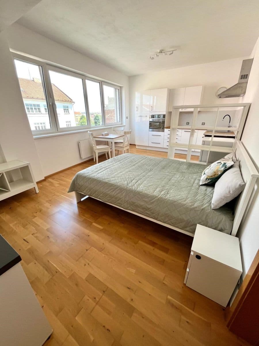 Pronájem bytu 1+kk 37 m², Palackého třída, Brno, Jihomoravský kraj Pronájem bytu 1+kk 37 m², Palackého třída, Brno, Jihomoravský kraj