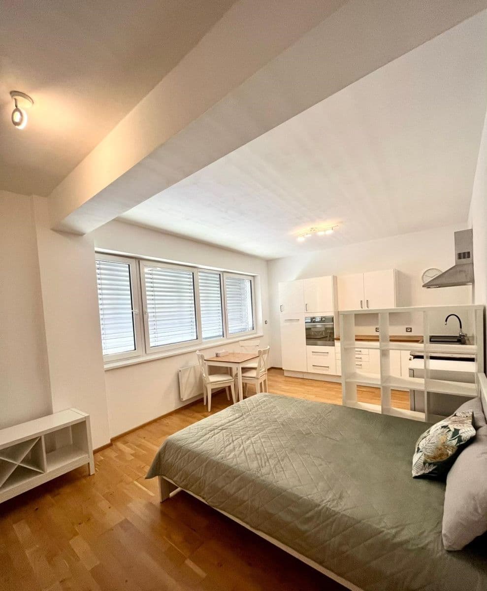 Pronájem bytu 1+kk 37 m², Palackého třída, Brno, Jihomoravský kraj Pronájem bytu 1+kk 37 m², Palackého třída, Brno, Jihomoravský kraj