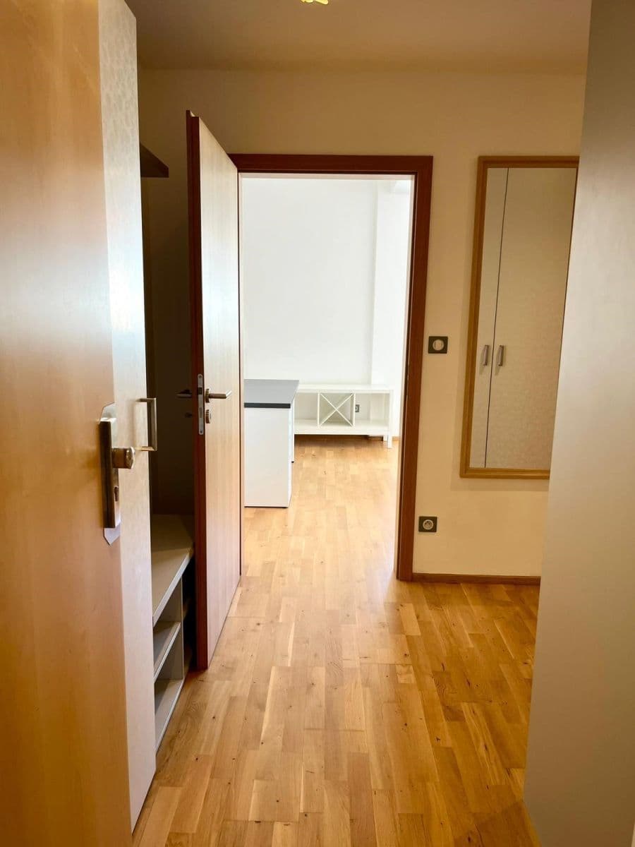 Pronájem bytu 1+kk 37 m², Palackého třída, Brno, Jihomoravský kraj Pronájem bytu 1+kk 37 m², Palackého třída, Brno, Jihomoravský kraj