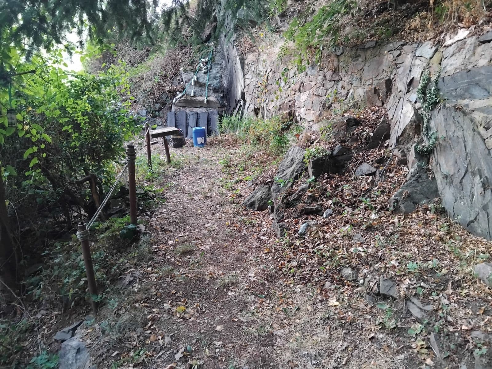 Pronájem chaty, chalupy 25 m², pozemek 50 m², Jílové u Prahy, Středočeský kraj Pronájem chaty, chalupy 25 m², pozemek 50 m², Jílové u Prahy, Středočeský kraj