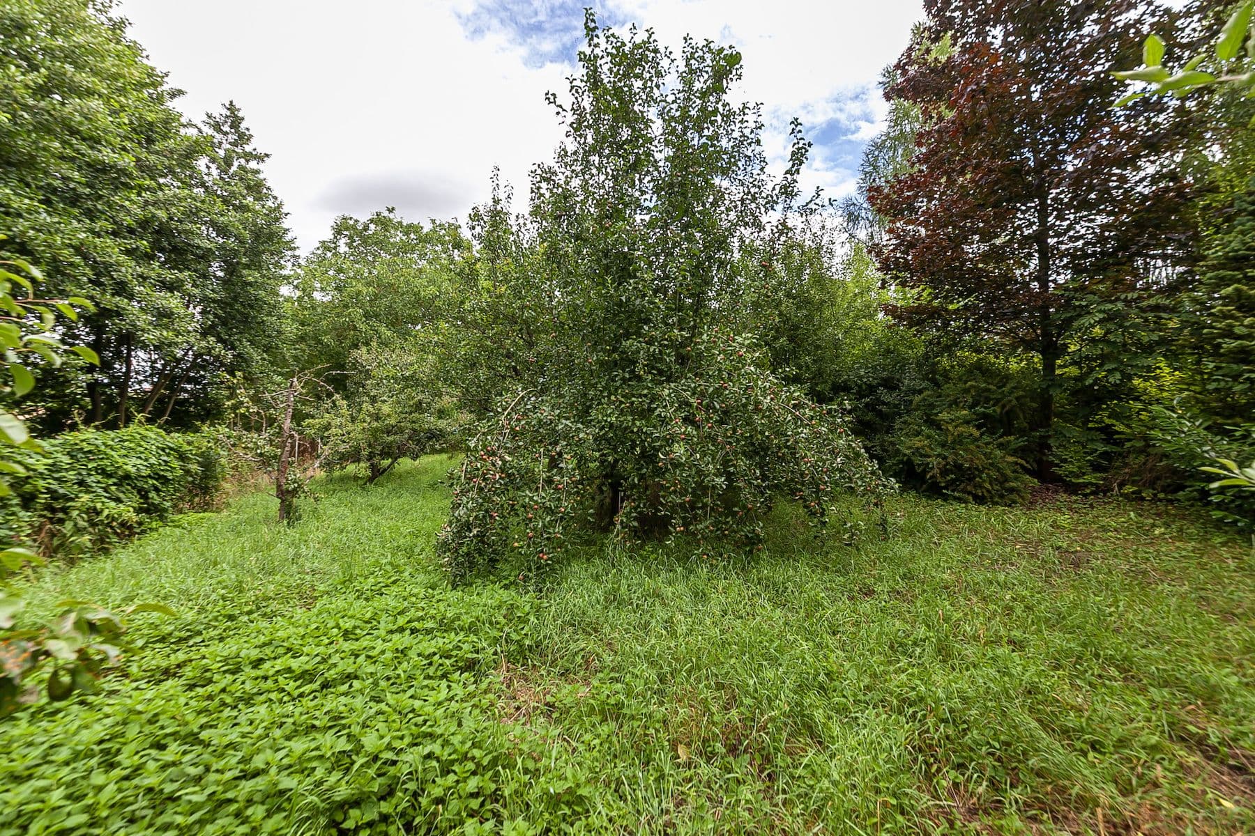 Prodej pozemku 2.621 m², Únětice, Údrnice, Královéhradecký kraj Prodej pozemku 2.621 m², Únětice, Údrnice, Královéhradecký kraj