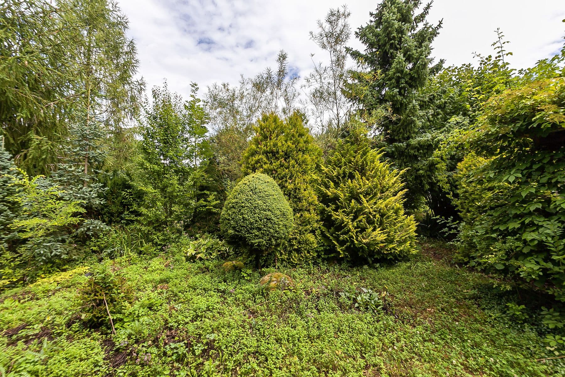 Prodej pozemku 2.621 m², Únětice, Údrnice, Královéhradecký kraj Prodej pozemku 2.621 m², Únětice, Údrnice, Královéhradecký kraj