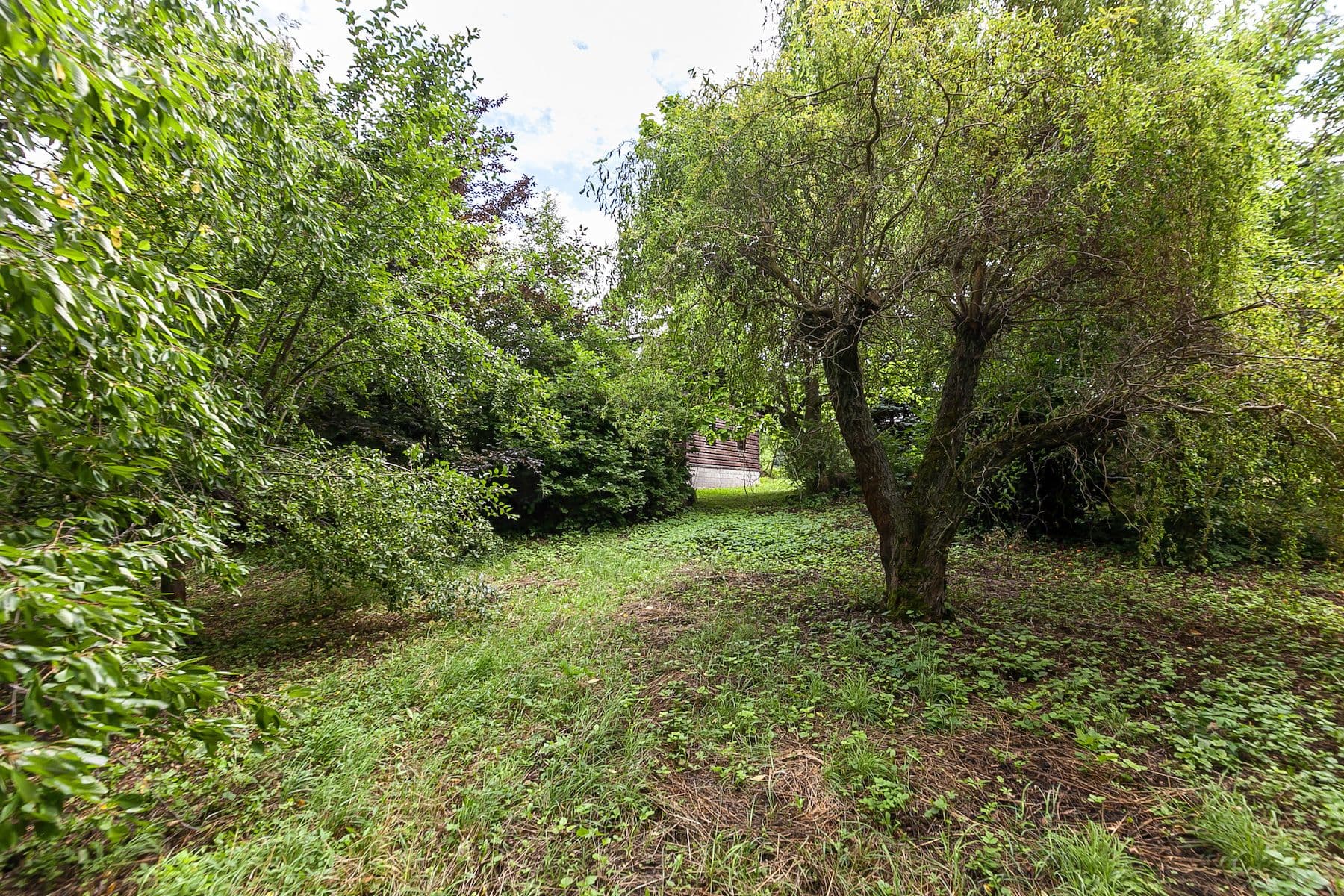 Prodej pozemku 2.621 m², Únětice, Údrnice, Královéhradecký kraj Prodej pozemku 2.621 m², Únětice, Údrnice, Královéhradecký kraj