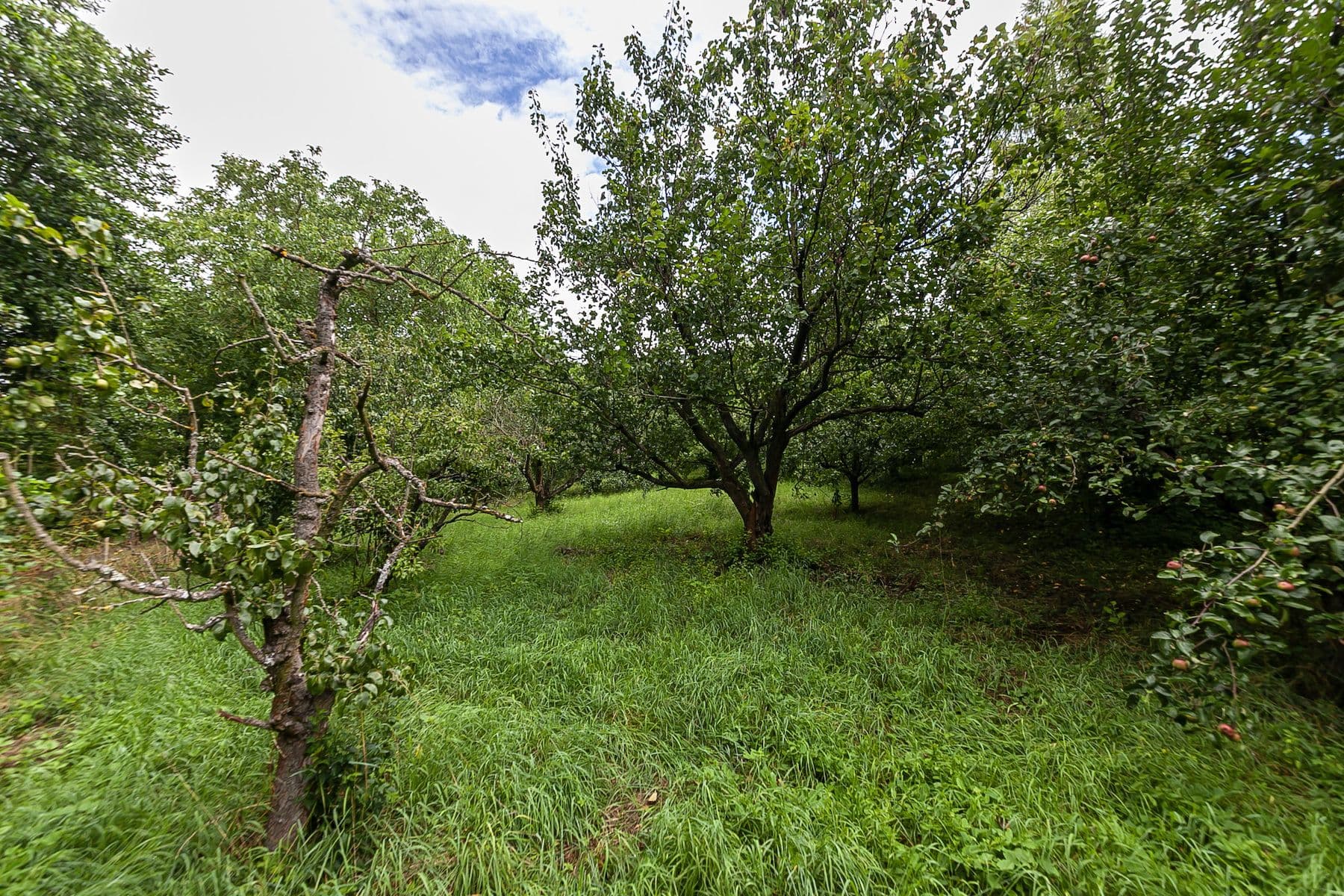 Prodej pozemku 2.621 m², Únětice, Údrnice, Královéhradecký kraj Prodej pozemku 2.621 m², Únětice, Údrnice, Královéhradecký kraj