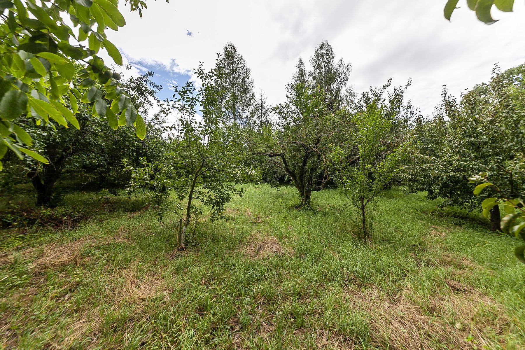 Prodej pozemku 2.621 m², Únětice, Údrnice, Královéhradecký kraj Prodej pozemku 2.621 m², Únětice, Údrnice, Královéhradecký kraj