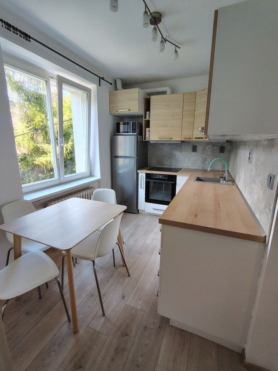Pronájem bytu 2+1 54 m², Dřevařská, Brno, Jihomoravský kraj Pronájem bytu 2+1 54 m², Dřevařská, Brno, Jihomoravský kraj