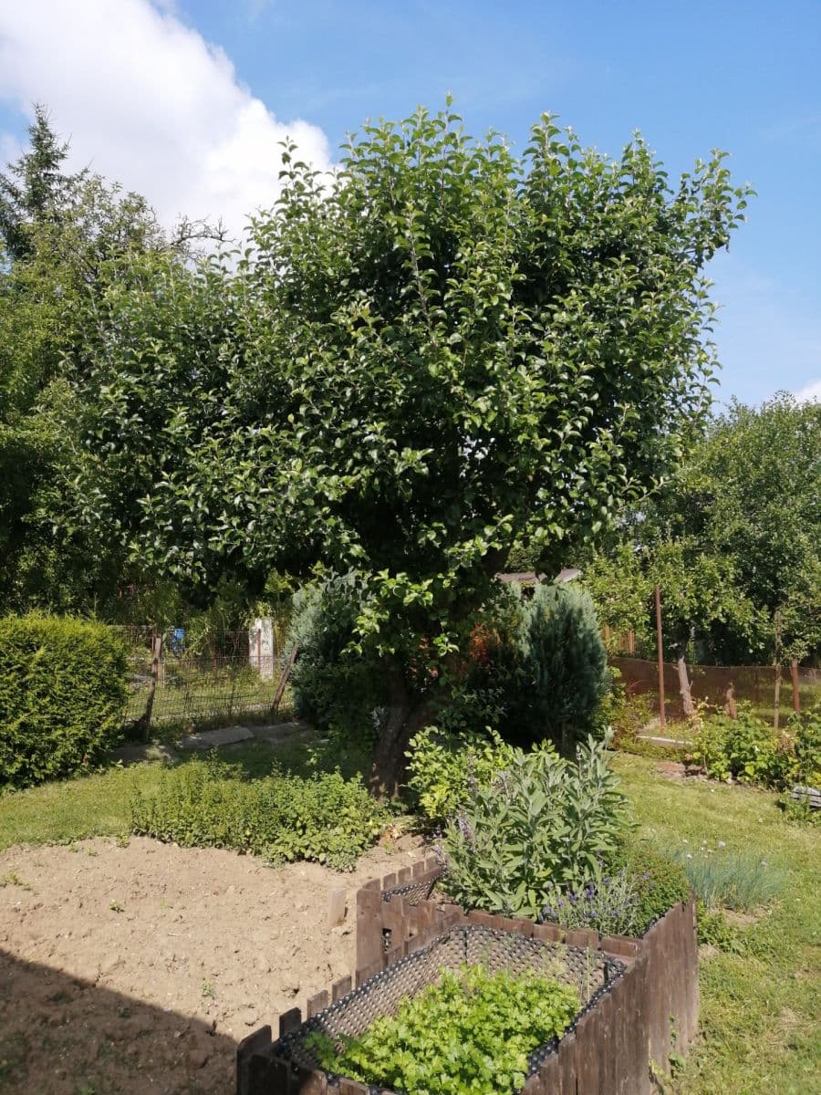 Prodej pozemku 400 m², Jihlava, Kraj Vysočina Prodej pozemku 400 m², Jihlava, Kraj Vysočina