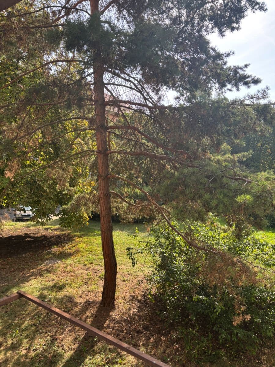 Pronájem bytu 2+1 54 m², Oldřicha Wenzla, Mělník, Středočeský kraj Pronájem bytu 2+1 54 m², Oldřicha Wenzla, Mělník, Středočeský kraj