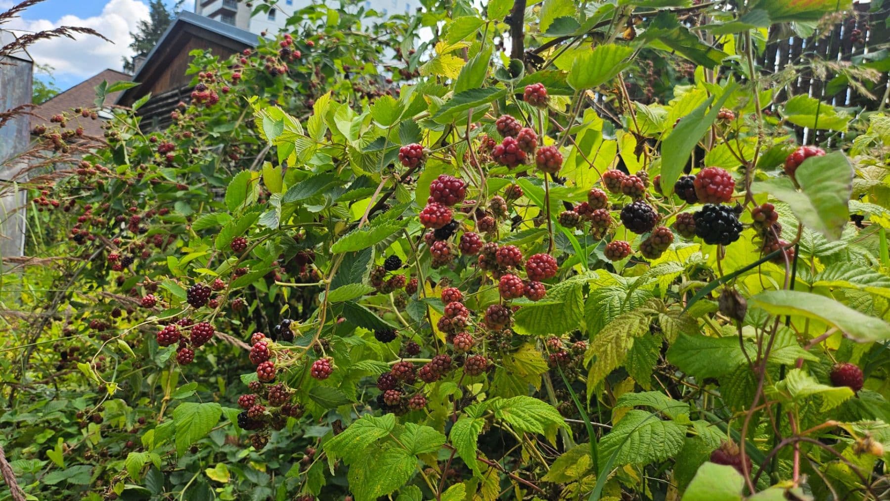 Prodej domu 120 m², pozemek 650 m², Čulenova, Žilina, Žilinský kraj Prodej domu 120 m², pozemek 650 m², Čulenova, Žilina, Žilinský kraj