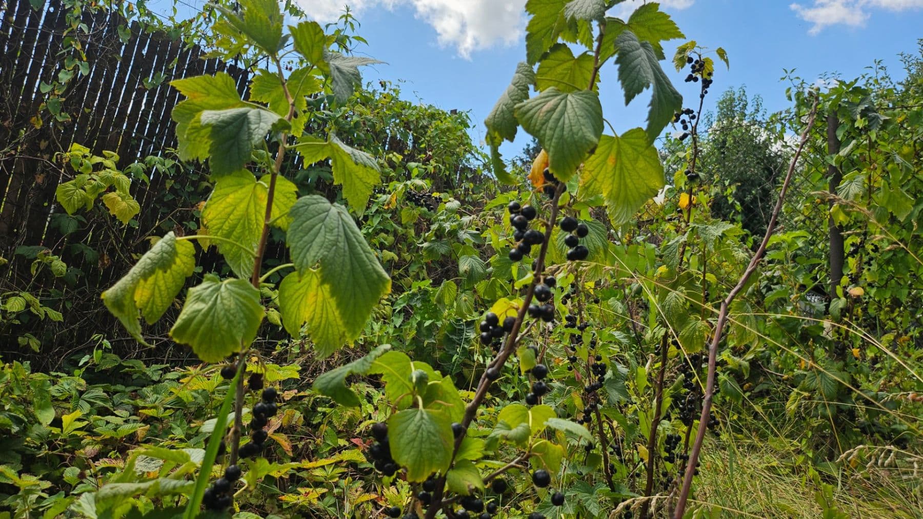 Prodej domu 120 m², pozemek 650 m², Čulenova, Žilina, Žilinský kraj Prodej domu 120 m², pozemek 650 m², Čulenova, Žilina, Žilinský kraj