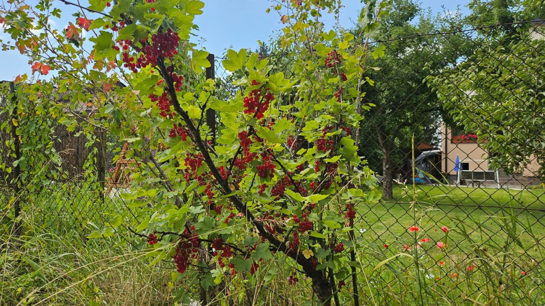 Prodej domu 120 m², pozemek 650 m², Čulenova, Žilina, Žilinský kraj Prodej domu 120 m², pozemek 650 m², Čulenova, Žilina, Žilinský kraj