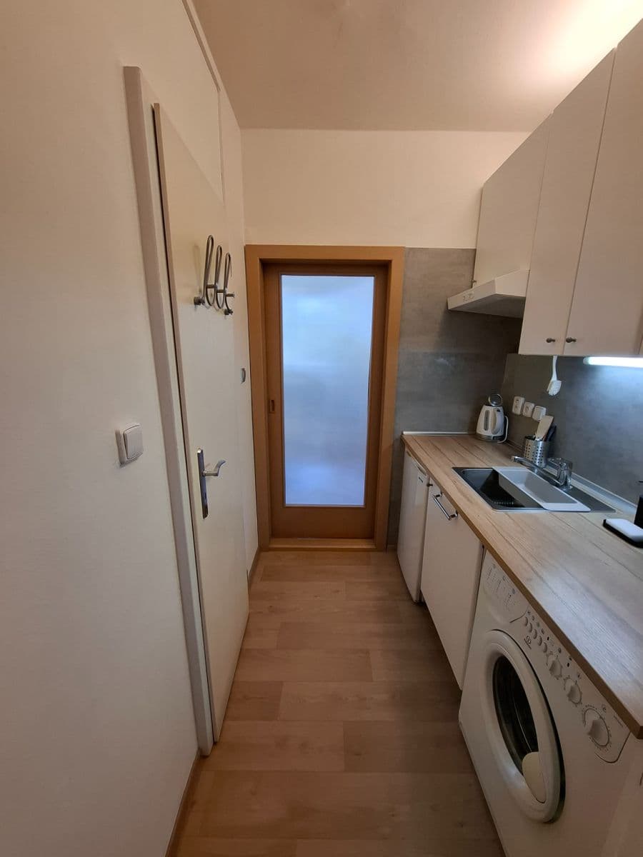 Pronájem bytu 1+kk 28 m², Palackého třída, Brno, Jihomoravský kraj Pronájem bytu 1+kk 28 m², Palackého třída, Brno, Jihomoravský kraj