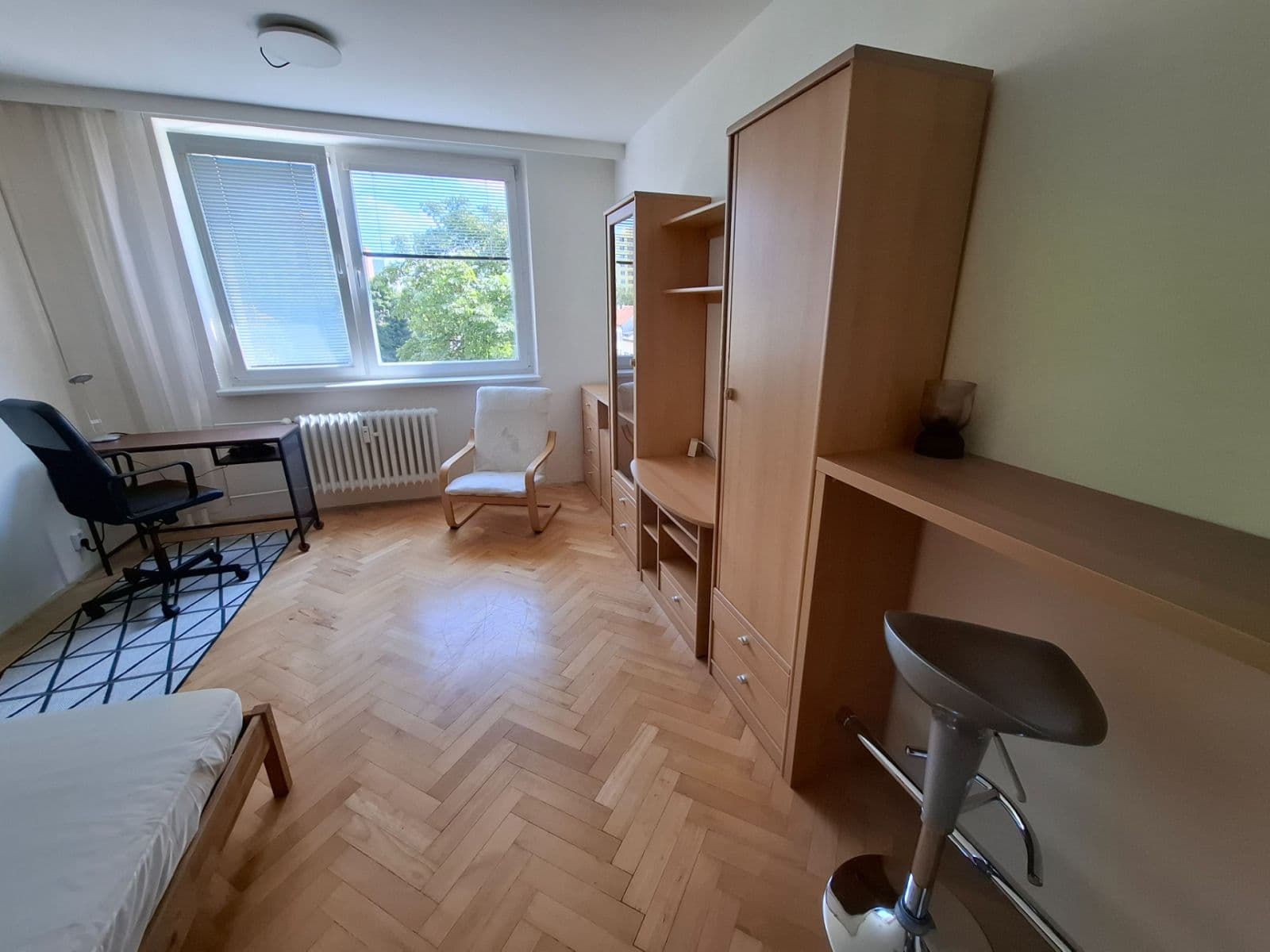 Pronájem bytu 1+kk 28 m², Palackého třída, Brno, Jihomoravský kraj Pronájem bytu 1+kk 28 m², Palackého třída, Brno, Jihomoravský kraj