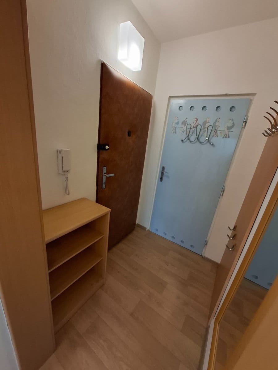 Pronájem bytu 1+kk 28 m², Palackého třída, Brno, Jihomoravský kraj Pronájem bytu 1+kk 28 m², Palackého třída, Brno, Jihomoravský kraj
