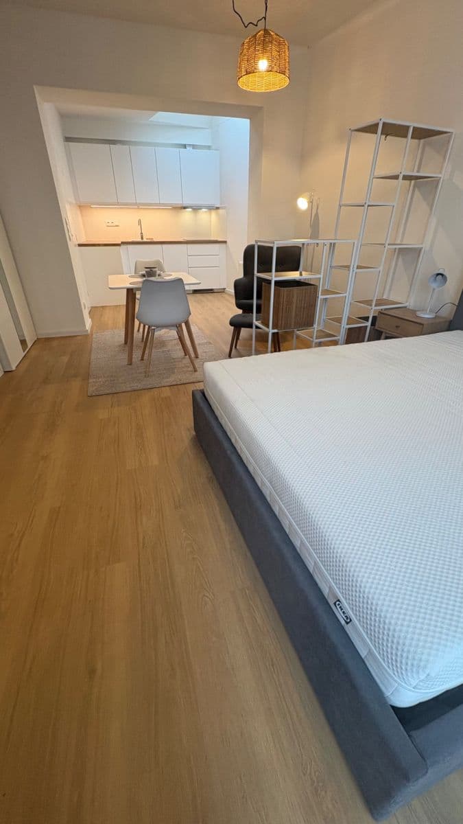 Pronájem bytu 1+kk 37 m², Národních hrdinů, Praha, Praha Pronájem bytu 1+kk 37 m², Národních hrdinů, Praha, Praha