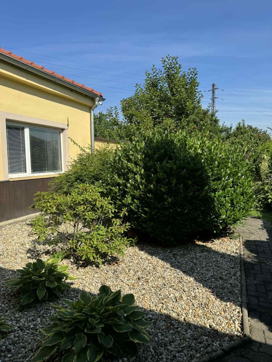 Pronájem kanceláře 45 m², Sokolova, Brno, Jihomoravský kraj Pronájem kanceláře 45 m², Sokolova, Brno, Jihomoravský kraj