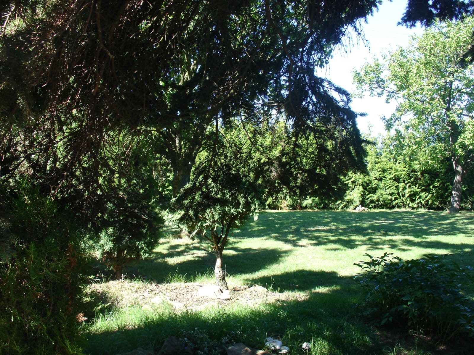 Pronájem bytu 3+1 115 m², Alojzov, Olomoucký kraj Pronájem bytu 3+1 115 m², Alojzov, Olomoucký kraj