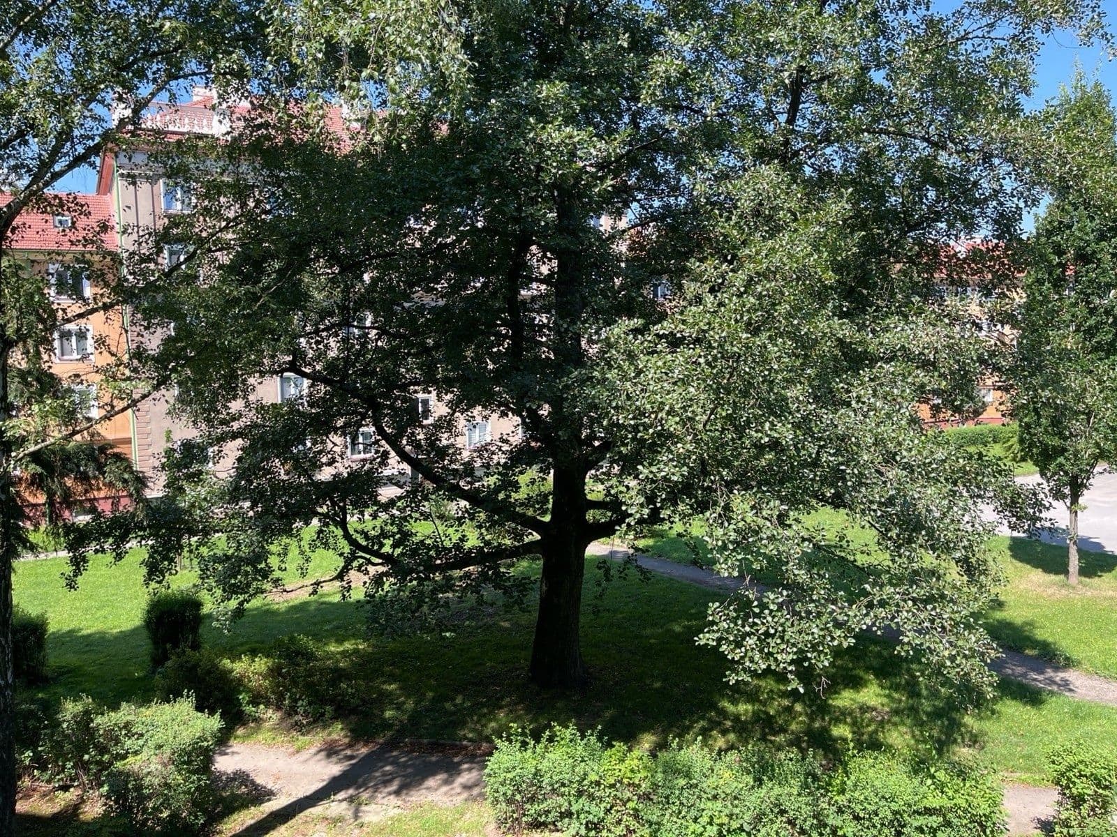 Pronájem bytu 2+1 54 m², Purkyňova, Havířov, Moravskoslezský kraj Pronájem bytu 2+1 54 m², Purkyňova, Havířov, Moravskoslezský kraj