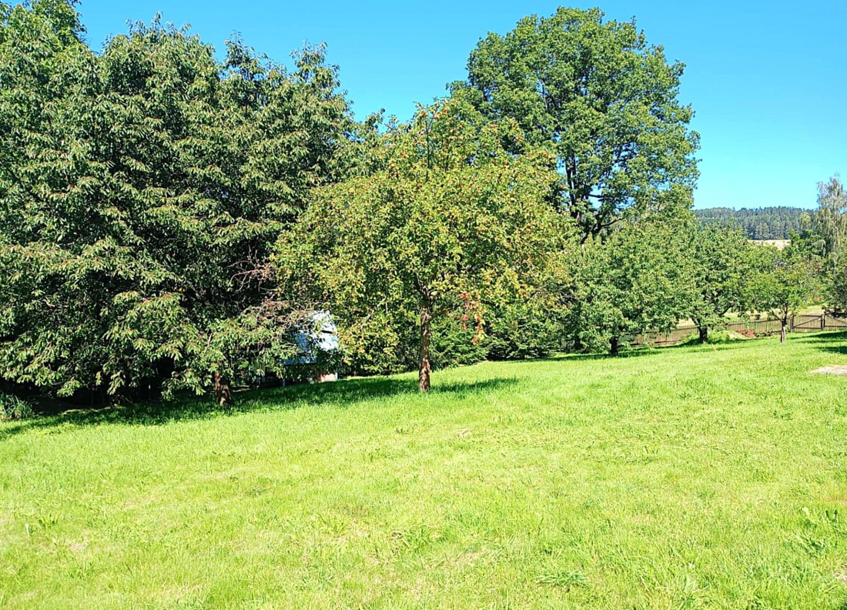 Prodej domu 260 m², pozemek 1.263 m², Zásada, Liberecký kraj Prodej domu 260 m², pozemek 1.263 m², Zásada, Liberecký kraj