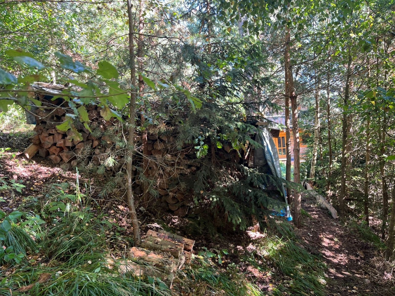 Prodej chaty, chalupy 42 m², pozemek 300 m², Svépravice, Kraj Vysočina Prodej chaty, chalupy 42 m², pozemek 300 m², Svépravice, Kraj Vysočina