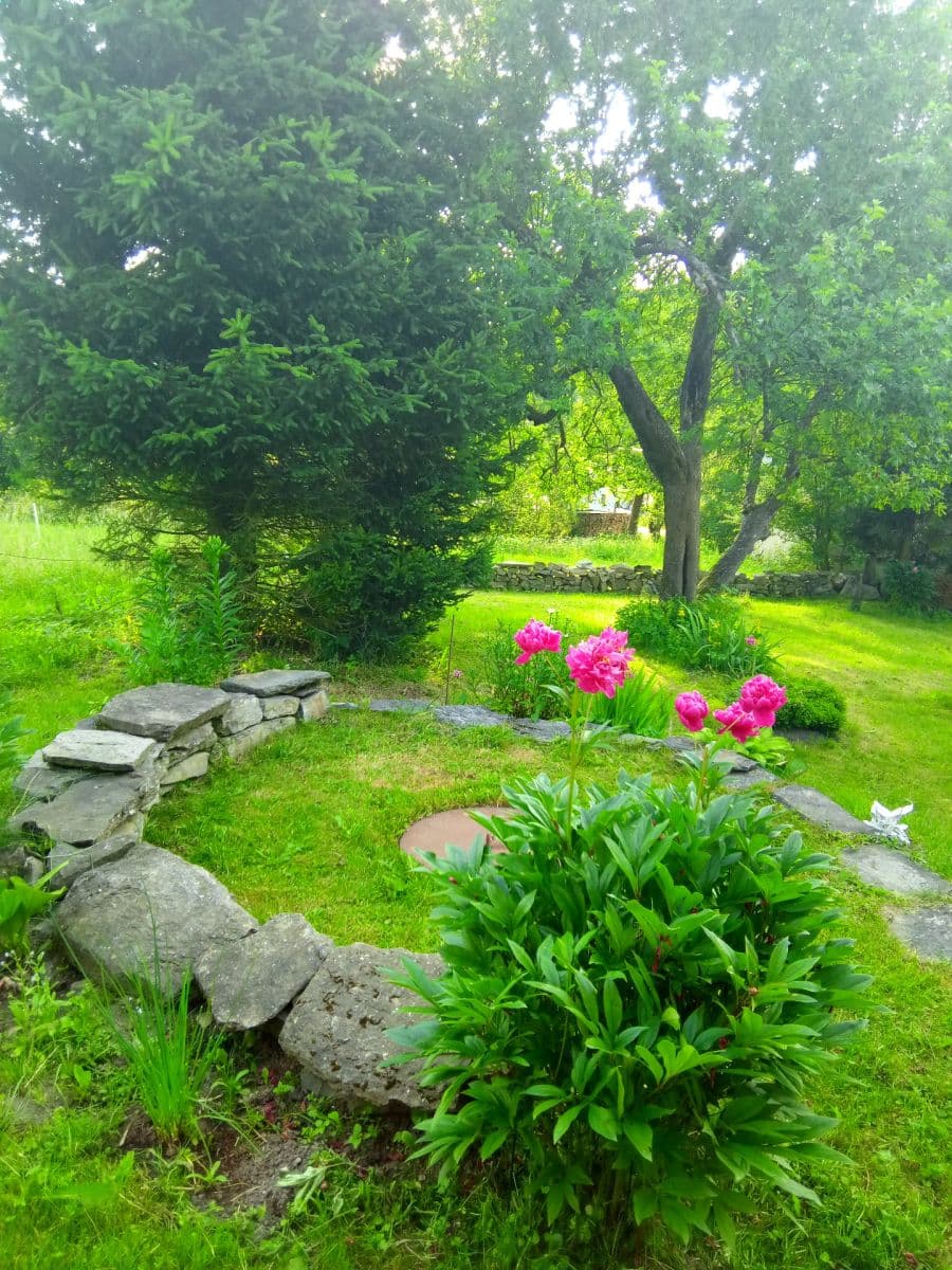Prodej chaty, chalupy 100 m², pozemek 502 m², Jindřichov, Olomoucký kraj Prodej chaty, chalupy 100 m², pozemek 502 m², Jindřichov, Olomoucký kraj