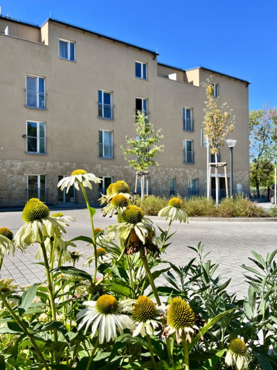 Pronájem bytu 1+kk 22 m², V Kněžívce, Tuchoměřice, Středočeský kraj Pronájem bytu 1+kk 22 m², V Kněžívce, Tuchoměřice, Středočeský kraj